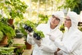 Female scientists in clean suit examining saplings Royalty Free Stock Photo