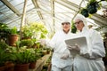 Female scientists examining plants Royalty Free Stock Photo