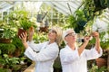 Female scientists examining potted plants Royalty Free Stock Photo