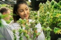 Female scientists working at cannabis hemp and gratifying marijuana plantation.