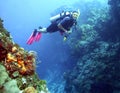 Female Scuba Diver Royalty Free Stock Photo