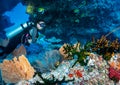 Female scuba diver explores a coral reef in the Indian Ocean, Maldives