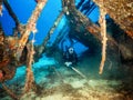 Female scuba diver explores a sunken wreck