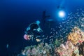 Female SCUBA diver on a tropical coral reef in Thailand