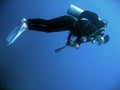 female scuba diver underwater philippines Royalty Free Stock Photo