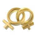 Female sex symbol Royalty Free Stock Photo