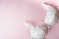 Female sexy lace white bra on pink background with copy space. Fashion cloth, lingerie. Beautiful underwear clothing Royalty Free Stock Photo