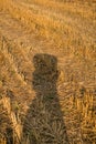 Female shadow on dry ground after wheat harvest