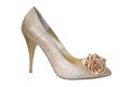 Female shoe Royalty Free Stock Photo