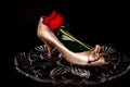 Female Shoe and rose Royalty Free Stock Photo