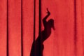 Female silhouette on the curtain Royalty Free Stock Photo