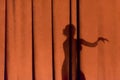 Female silhouette on the curtain Royalty Free Stock Photo