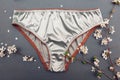 Female silk underwear with spring blossom. Satin silver panties with lace. Sexy clothing for women with flowers