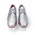 Female silver shoes Royalty Free Stock Photo