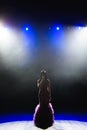 Female singer on the stage holding a microphone. Royalty Free Stock Photo