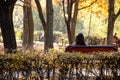 Female is sitting with smartphone in the autumn park. Brunette woman sits with her back on a bench among the trees with yellow Royalty Free Stock Photo