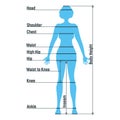 Female size chart anatomy human character, people dummy front and view side body silhouette, isolated on white, flat vector Royalty Free Stock Photo