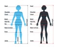 Female size chart anatomy human character, people dummy front and view side body silhouette, isolated on white, flat vector Royalty Free Stock Photo