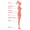 Female size chart anatomy human character, people dummy front and view side body silhouette, isolated on white, flat vector Royalty Free Stock Photo