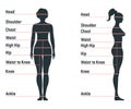 Female size chart anatomy human character, people dummy front and view side body silhouette, isolated on white, flat vector Royalty Free Stock Photo