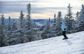 Female skier in blue jacket skiing downhill Royalty Free Stock Photo