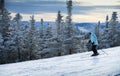 Female skier in blue jacket skiing downhill Royalty Free Stock Photo