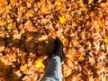 Female slender legs in jeans and boots, shoes a background of yellow, dry, fallen autumn foliage. Multi-colored natural leaves. Royalty Free Stock Photo