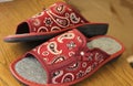Female slippers with attractive pattern Royalty Free Stock Photo