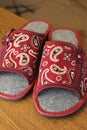 Female slippers with attractive pattern Royalty Free Stock Photo