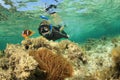 Female Snorkeler Royalty Free Stock Photo