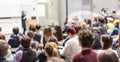 Woman giving presentation in lecture hall at university. Royalty Free Stock Photo