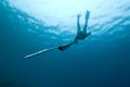 Female spear-fisher dives towards viewer