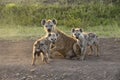 Spotted hyena and cubs sitting on dirt road, Kenya