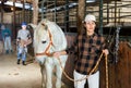 Female stable worker leads a white horse out of stall