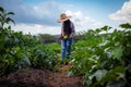 a woman wearing a hat stands at a field full of plants