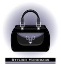 Female stylish black handbag