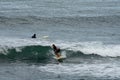 Female surfer enjoying a surf session in the Atlantic Royalty Free Stock Photo