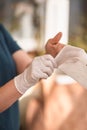 Female surgeon or nurse wearing a sterile suit putting on sterile rubber gloves to perform a surgery Royalty Free Stock Photo