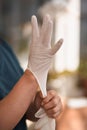 Female surgeon or nurse wearing a sterile suit putting on sterile rubber gloves to perform a surgery, Royalty Free Stock Photo