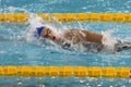 Female swimmer during 7th Trofeo citta di Milano swimming competition. Royalty Free Stock Photo