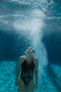 Female Swimmer Underwater Royalty Free Stock Photo