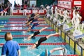 Female swimmers starting during 7th Trofeo citta di Milano swimming competition.