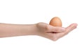 Female teen hand holding brown chicken egg isolated on white Royalty Free Stock Photo