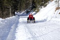 Female teenager have fun with sledge