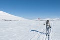 Female tour skier in backcountry ski track