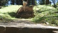 Female tourist with backpack climbing on stony stairs in tropical park. Young woman walking up stairs. Girl stepping at Royalty Free Stock Photo