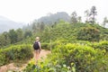 Female tourist enjoying beautiful nature of tea plantations, Sri Lanka.