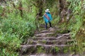 Female tourist hiking the Huayna Picchu mountain, Machu Picchu, Cusco Region, Peru