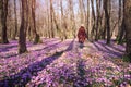 Blooming nature, crocuses, young traveler
