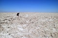 Female Traveler Taking Photos on the Trail of Salar de Atacama, Extensive Chilean Salt Flat at the Altitude of 2,305 M. Royalty Free Stock Photo